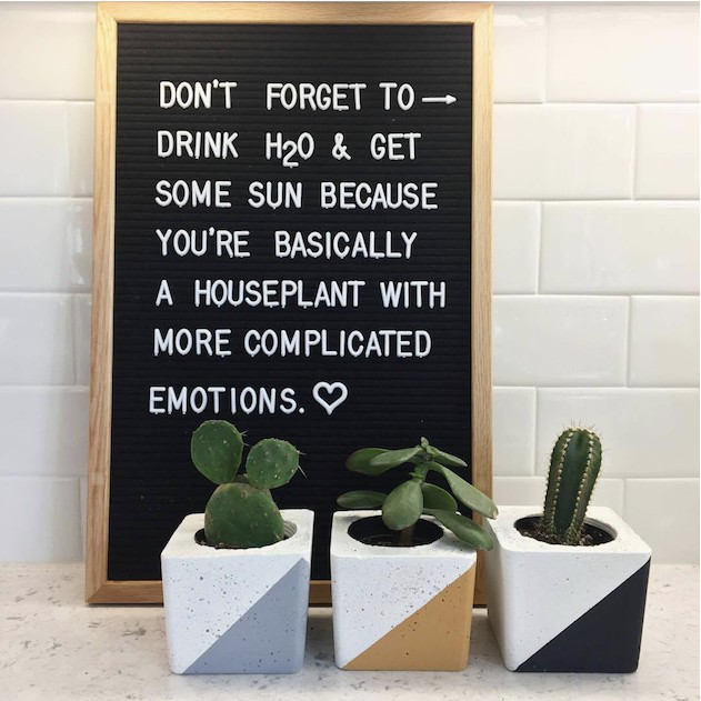 Large Rectangle Felt Wooden Message Board